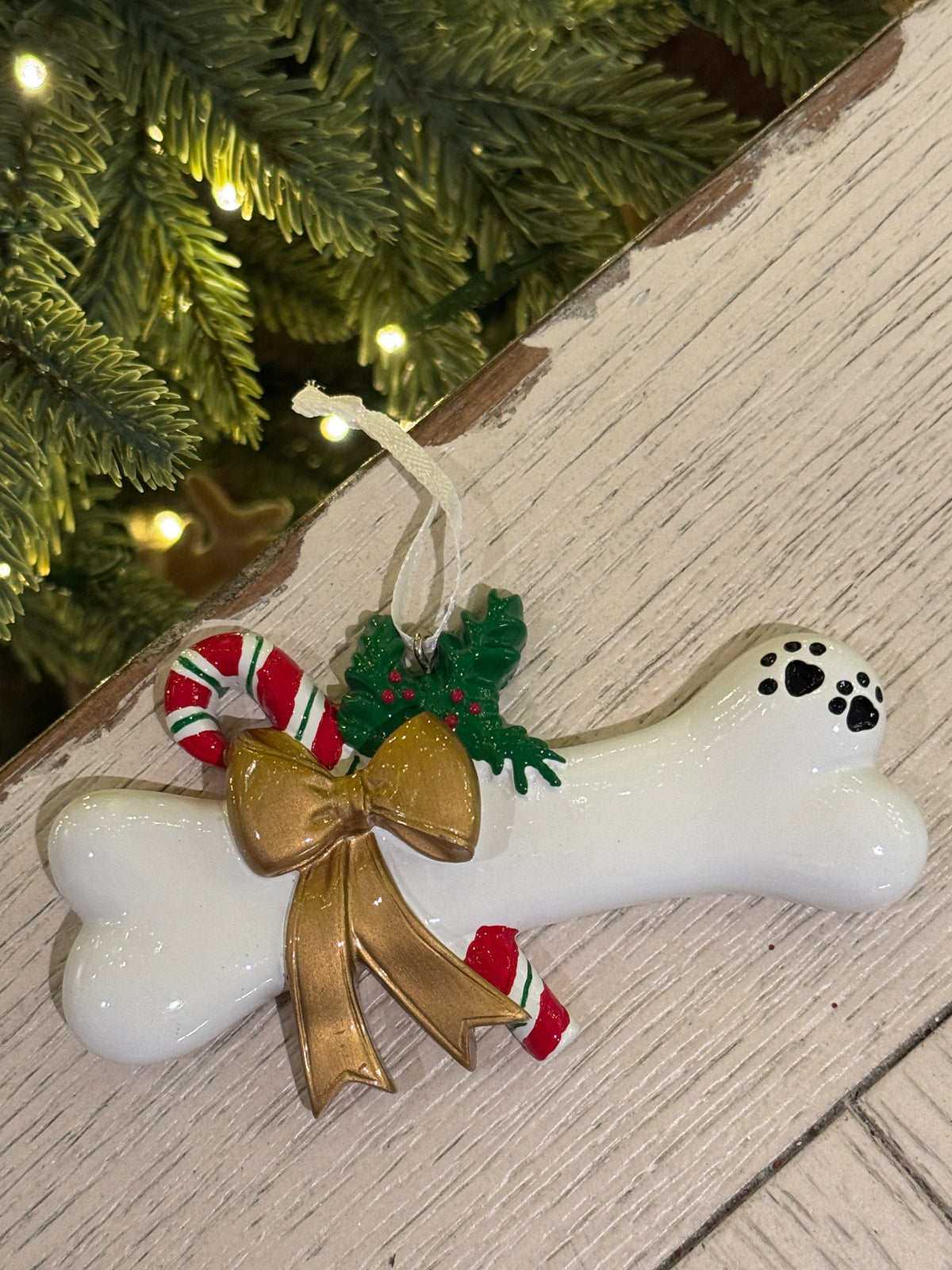 Dog Bone
