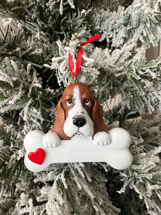 Basset hound